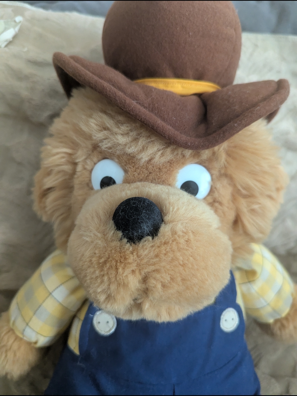 Vintage 1998 Berenstain Bears Papa Bear 18" Plush Stuffed Animal Chosun - Picture 2 of 10